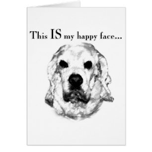 Cocker Spaniel Joyeux Visage