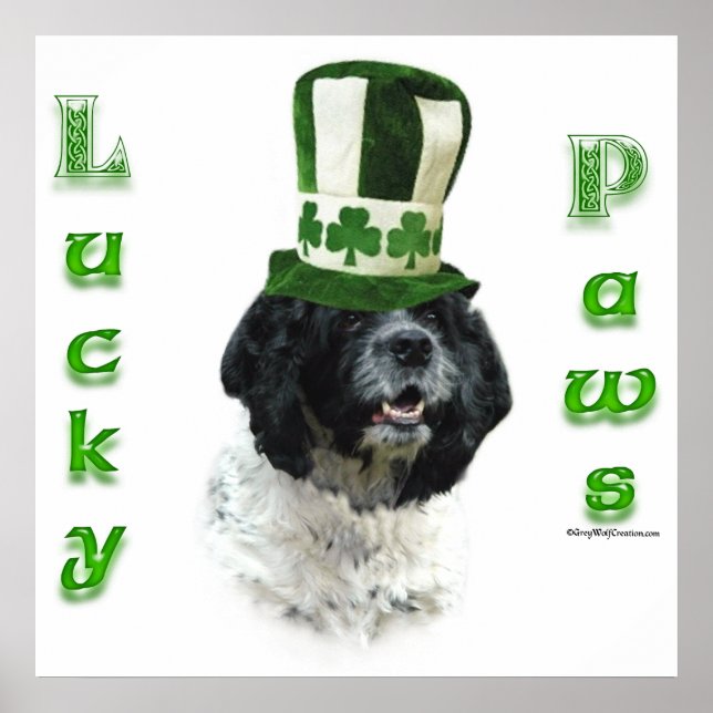 Cocker Spaniel Lucky Paws Poster (Vorne)