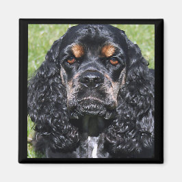 Cocker Spaniel Magnet