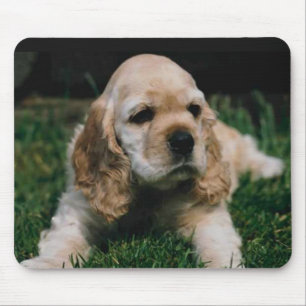 cocker spaniel-Mausunterlage Mousepad