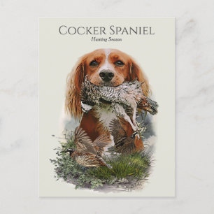 Cocker Spaniel mit grauem Partridge Postkarte