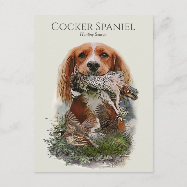 Cocker Spaniel mit grauem Partridge Postkarte (Vorderseite)