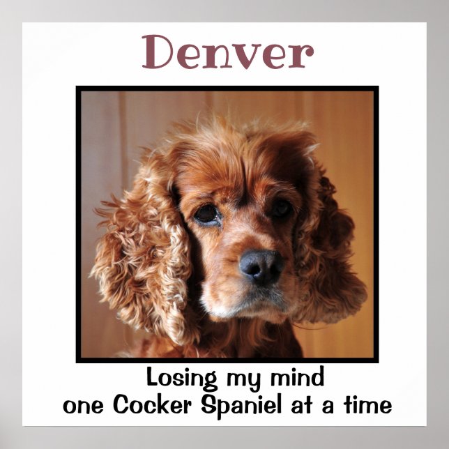 Cocker Spaniel mit Zitat Custom Wall Art Poster (Vorne)