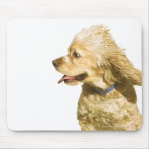 Cocker spaniel mousepad