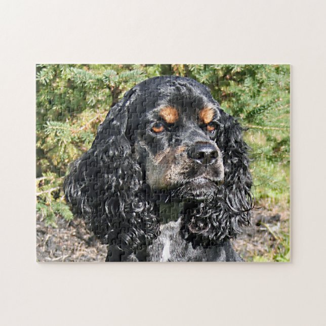 Cocker Spaniel Nah-Up 2 (Horizontal)