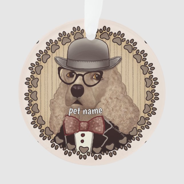 Cocker Spaniel portant des lunettes (devant)