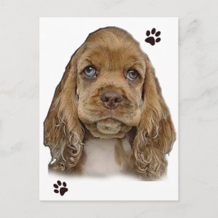 Cocker Spaniel Postcard Postkarte