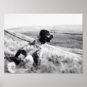 Cocker Spaniel Poster