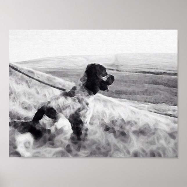 Cocker Spaniel Poster (Vorne)