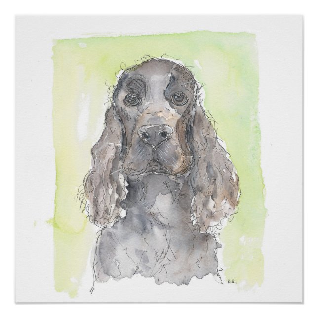 Cocker Spaniel Poster (Vorderseite)