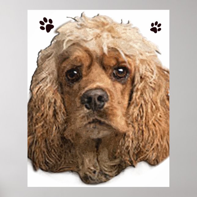 Cocker Spaniel Poster (Vorne)