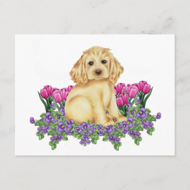 Cocker Spaniel Postkarte (Vorderseite)
