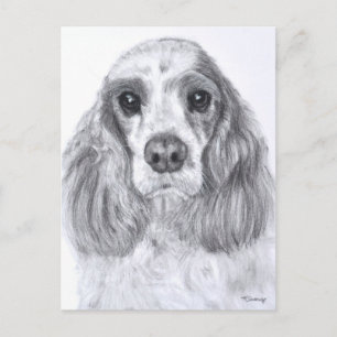 Cocker Spaniel Red White Art Postkarte