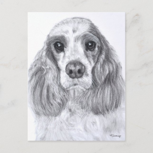 Cocker Spaniel Red White Art Postkarte (Vorderseite)