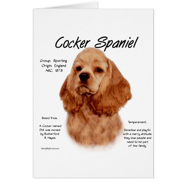 Cocker Spaniel (rot) Geschichtsdesign (Vorne)