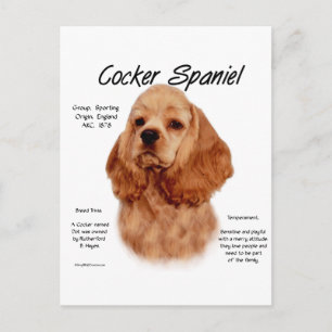 Cocker Spaniel (rot) Geschichtsdesign Postkarte