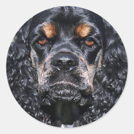 Cocker Spaniel Runder Aufkleber