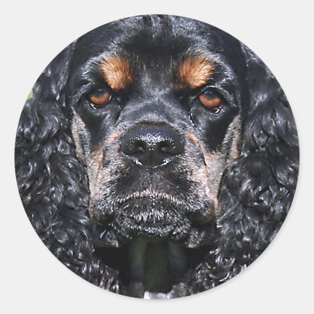 Cocker Spaniel Runder Aufkleber (Vorderseite)