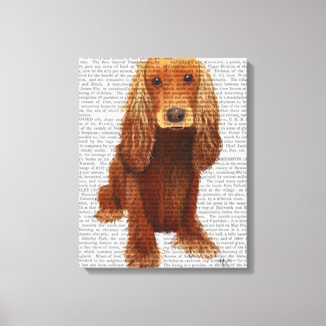 Cocker Spaniel Schlicht Leinwanddruck (Vorderseite)
