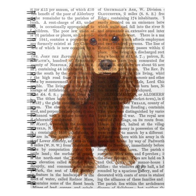 Cocker Spaniel Schlicht Notizblock (Vorderseite)
