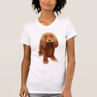 Cocker Spaniel Schlicht