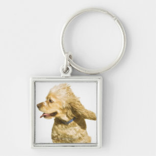 Cocker spaniel schlüsselanhänger