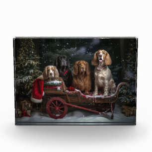 Cocker Spaniel Schneeschlitten Weihnachtsdekoratio Fotoblock