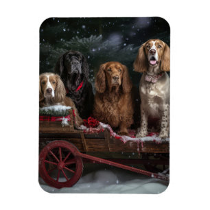Cocker Spaniel Schneeschlitten Weihnachtsdekoratio Magnet