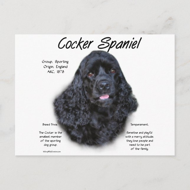 Cocker Spaniel (schwarz) Geschichtsdesign Postkarte (Vorderseite)