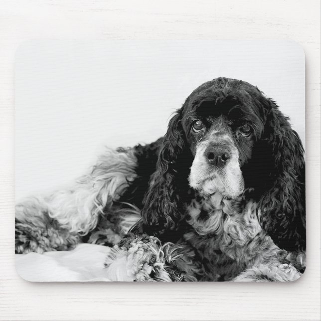 Cocker Spaniel Schwarz-Weiß-Mauspad Mousepad (Vorne)