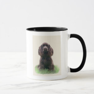 Cocker spaniel tasse