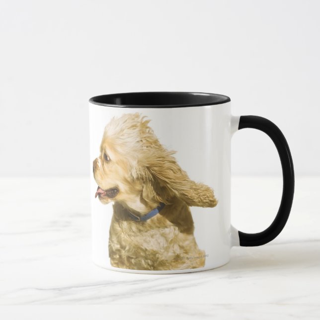 Cocker spaniel tasse (Rechts)