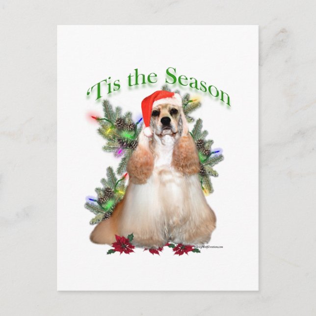 Cocker Spaniel "Tis Postkarte (Vorderseite)