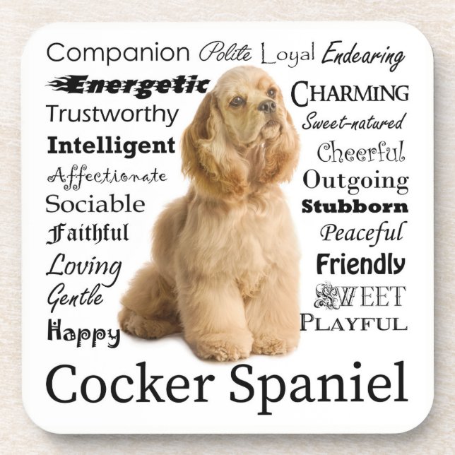 Cocker Spaniel Traits Coasters Untersetzer (Vorderseite)