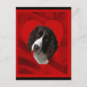 Cocker Spaniel Valentine Feiertagspostkarte