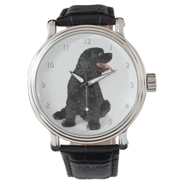 Cocker Spaniel Watch Armbanduhr (Vorderseite)