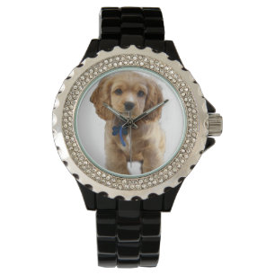 Cocker Spaniel Welpe beobachten Armbanduhr