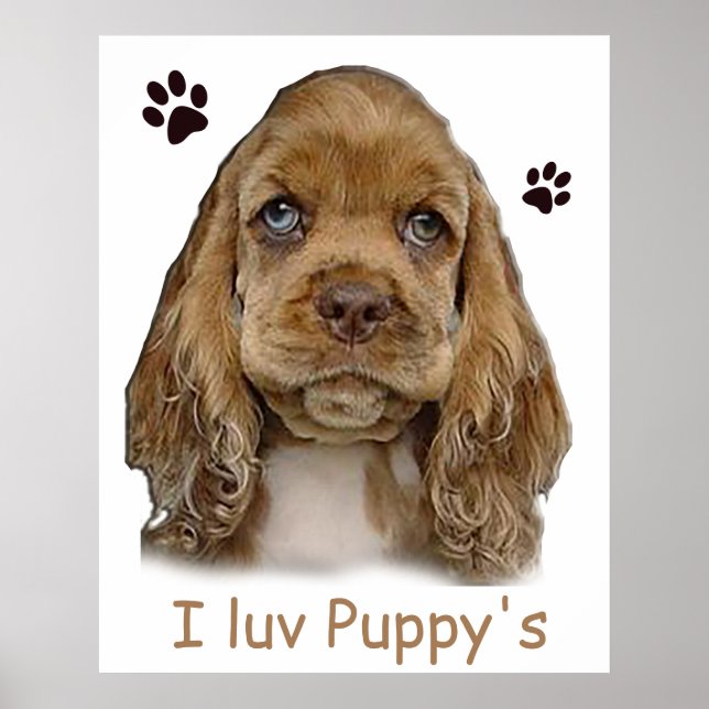 Cocker Spaniel Welpe Poster (Vorne)