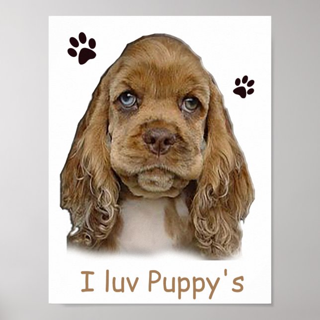 Cocker Spaniel Welpe Poster (Vorne)