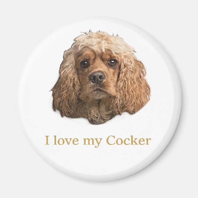 Cocker-Spaniels Magnet (Vorne)