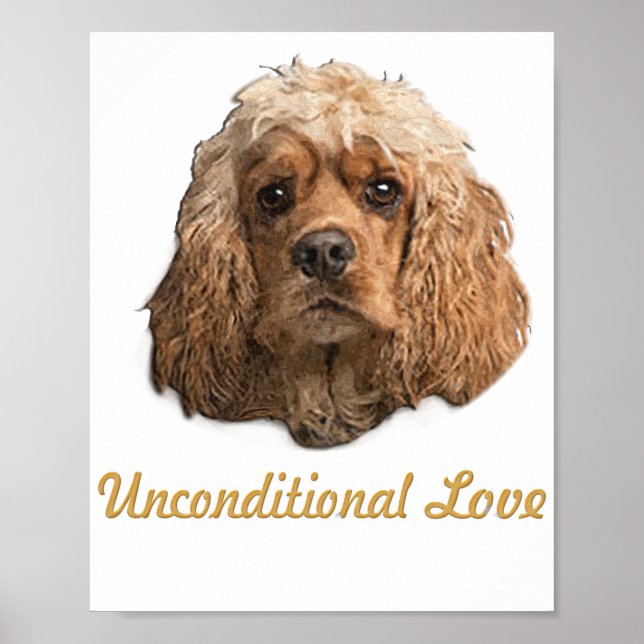 Cocker-Spaniels Poster (Vorne)
