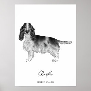 Cocker Spanisch in Schwarz, Weiß und Zoll Poster