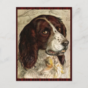 Cocker Spanischer Hund Print Postkarte
