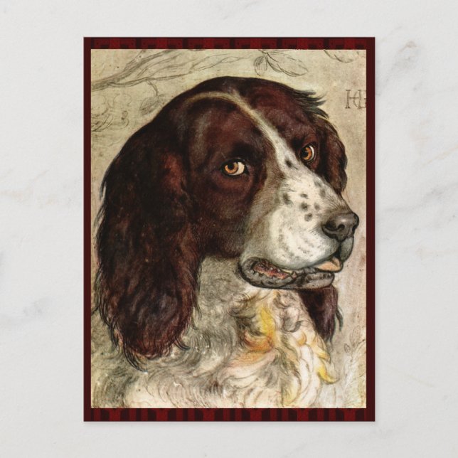 Cocker Spanischer Hund Print Postkarte (Vorderseite)