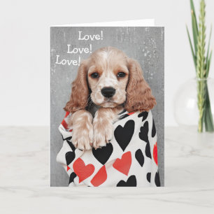 Cocker Spanischer Hund Valentine Card Dankeskarte