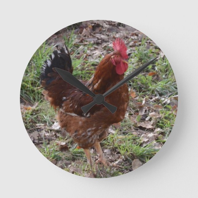Cockerel Runde Wanduhr (Vorderseite)