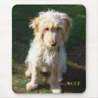 cockerpoo Welpe Mousepad