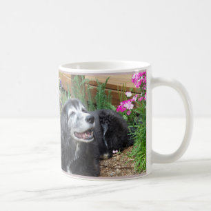 Cockerspaniel-Muffin-Tasse Kaffeetasse