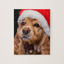 Cockerspaniel-tragende Weihnachtsmannmütze