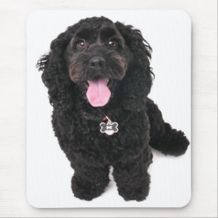 Cockerspanielpudel-Mischungswelpe, der oben schaut Mousepad